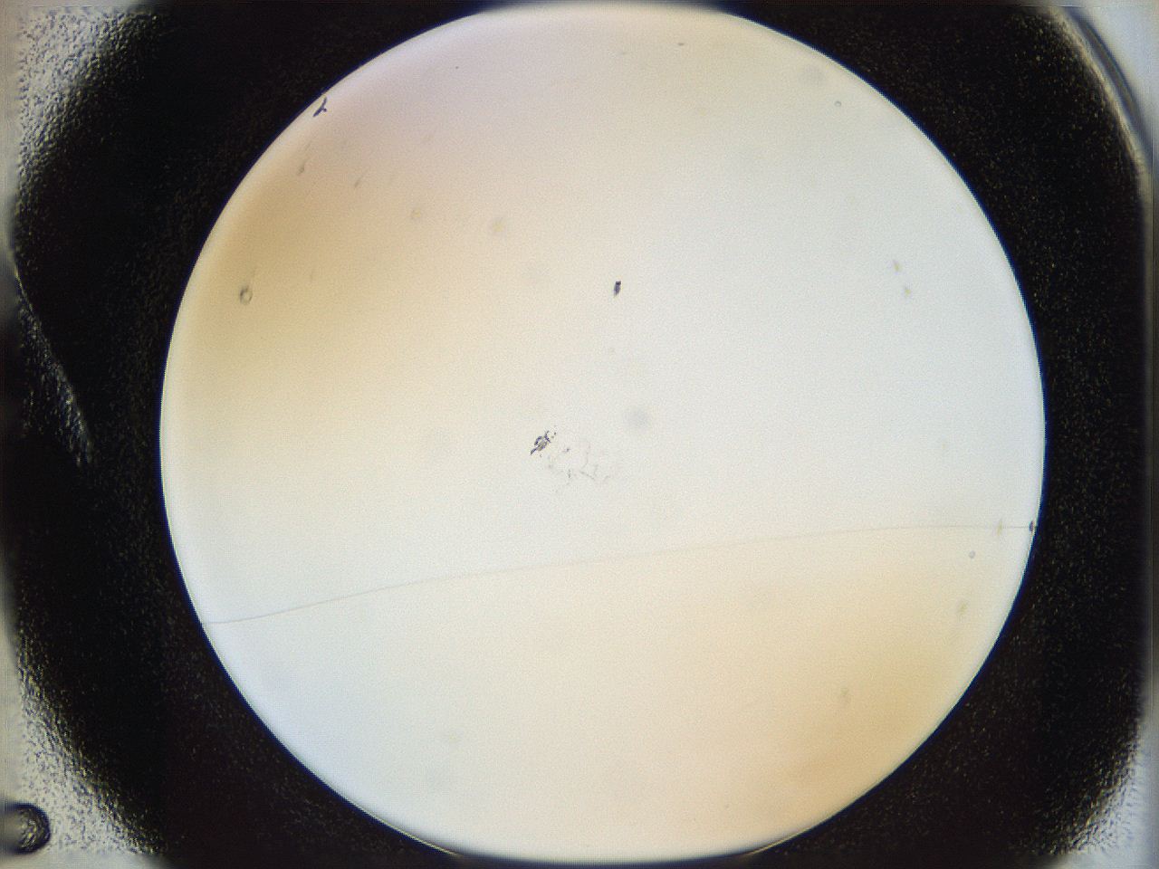 05y8_A5_ImagerDefaults_0.jpg