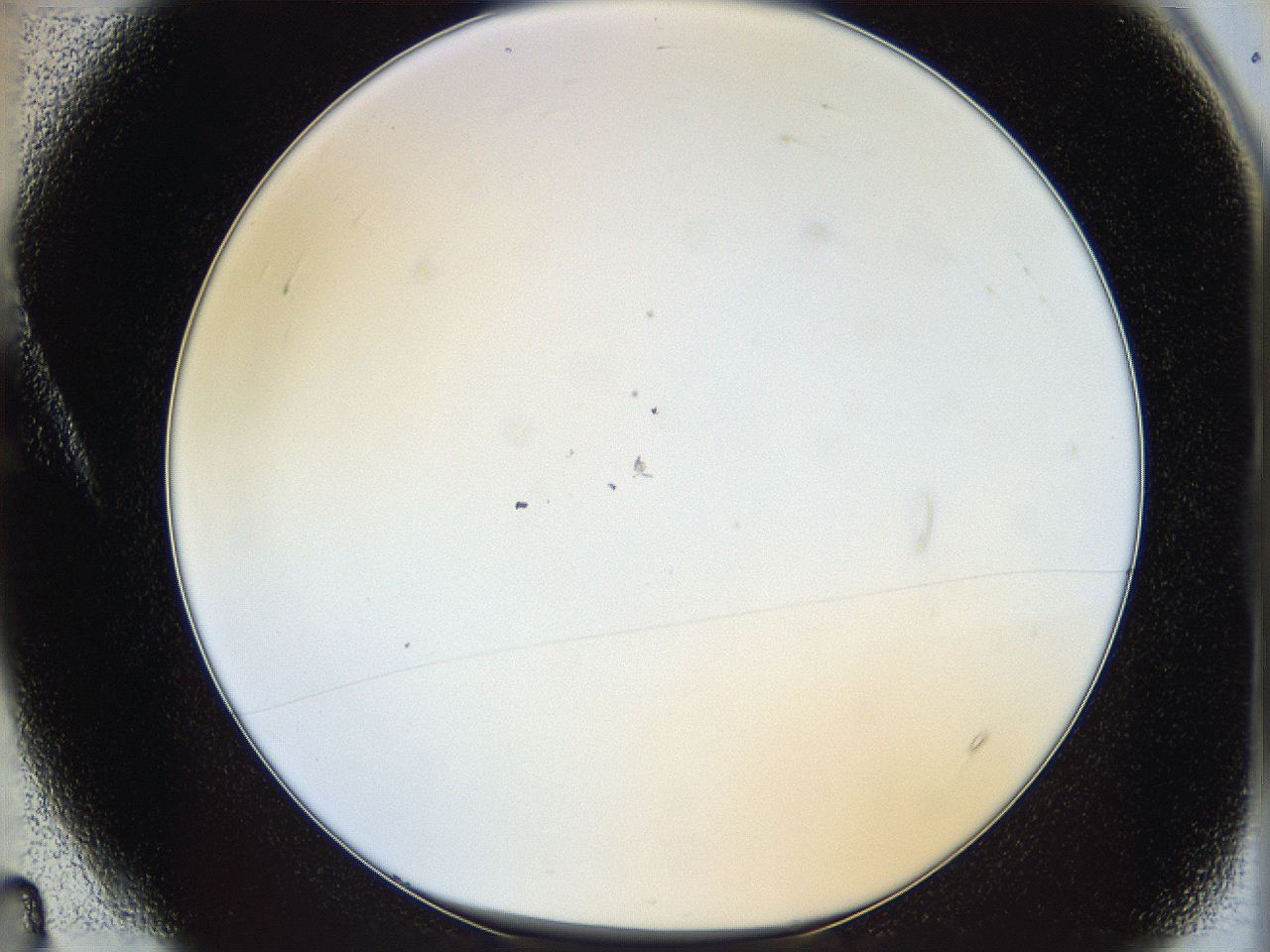 05y8_A4_ImagerDefaults_1.jpg