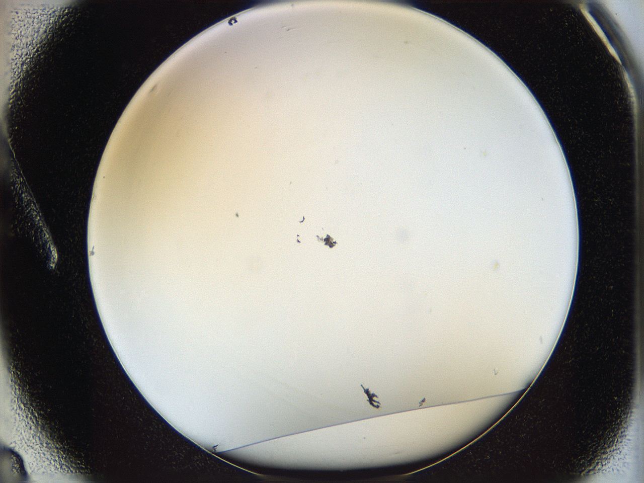 05y8_A3_ImagerDefaults_1.jpg