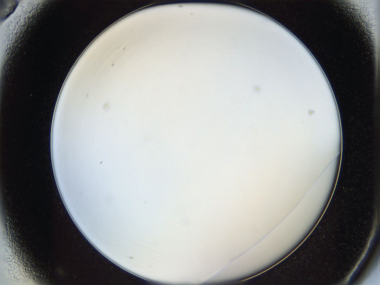 05y8_A3_ImagerDefaults_0.jpg