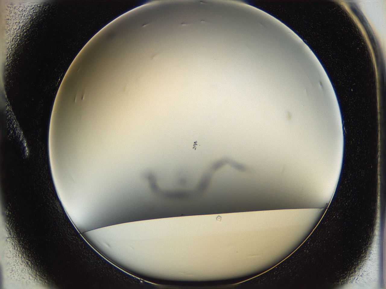 05y8_A1_ImagerDefaults_0.jpg