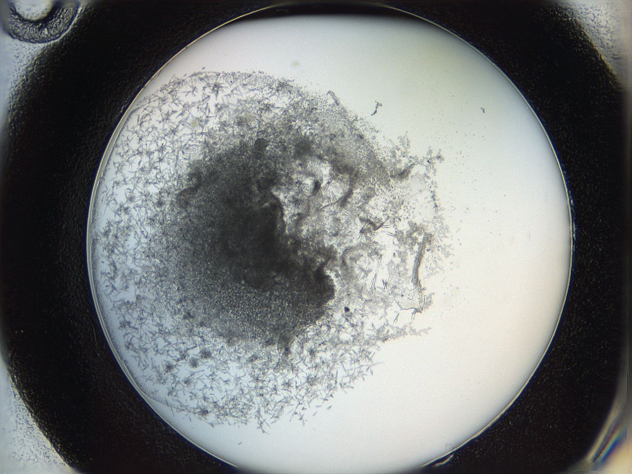 05y8_E10_ImagerDefaults_6.jpg