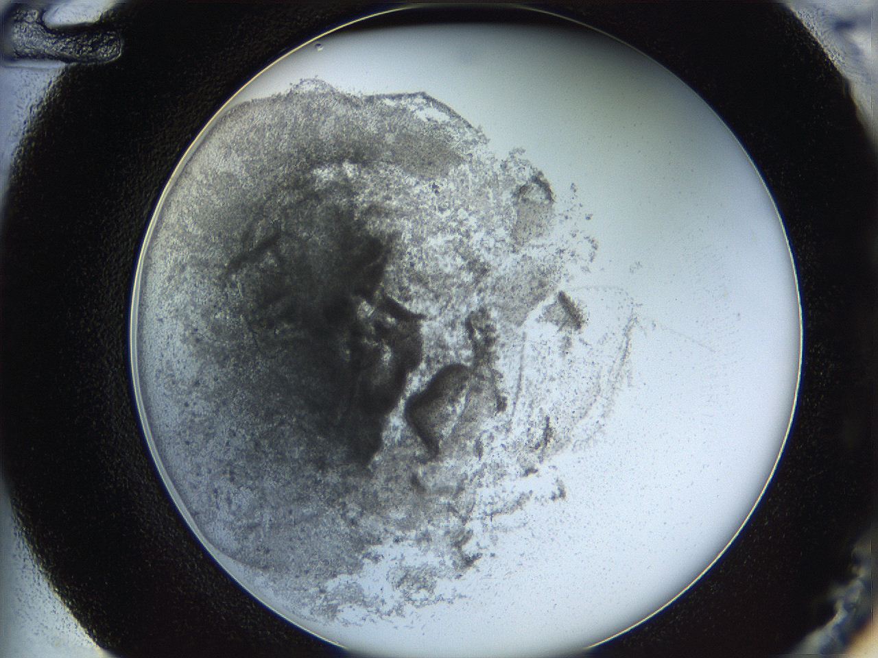 05y8_F12_ImagerDefaults_4.jpg