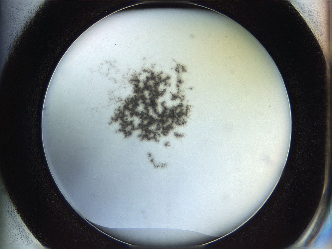 05y8_G1_ImagerDefaults_6.jpg