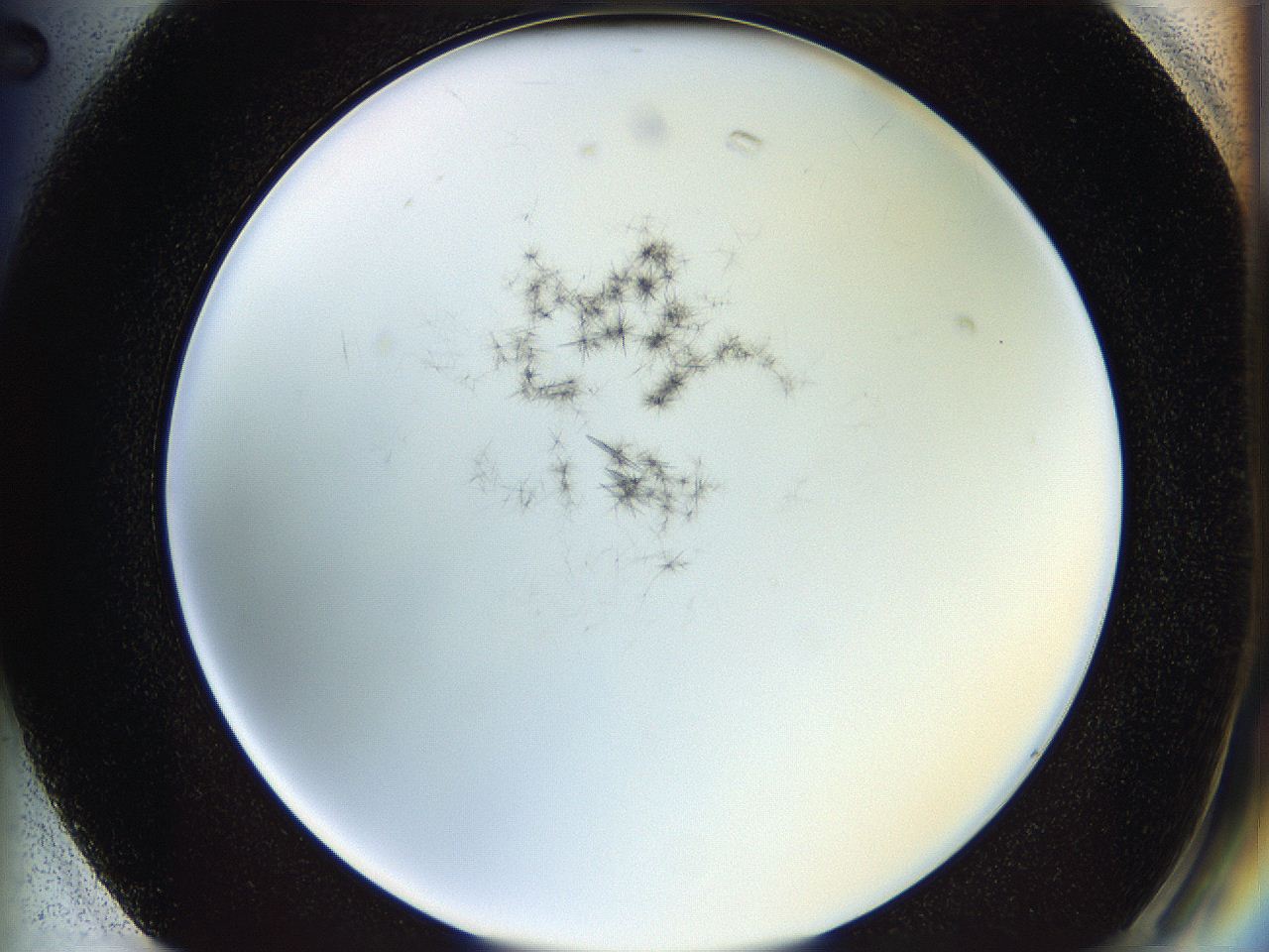 05y8_G2_ImagerDefaults_6.jpg
