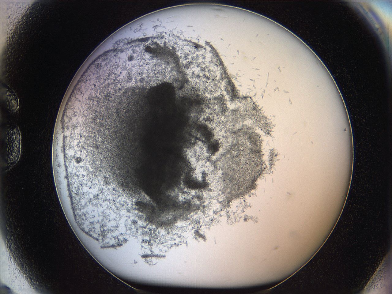 05y8_G9_ImagerDefaults_6.jpg