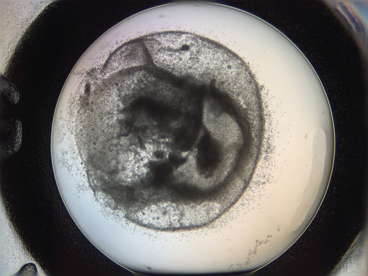 05y8_G11_ImagerDefaults_6.jpg