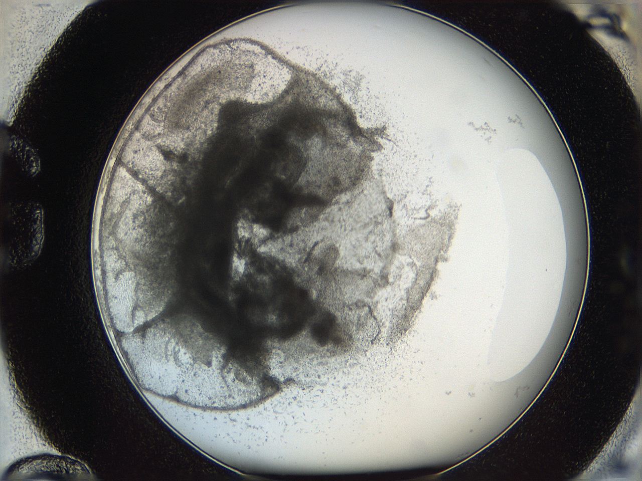 05y8_G12_ImagerDefaults_5.jpg