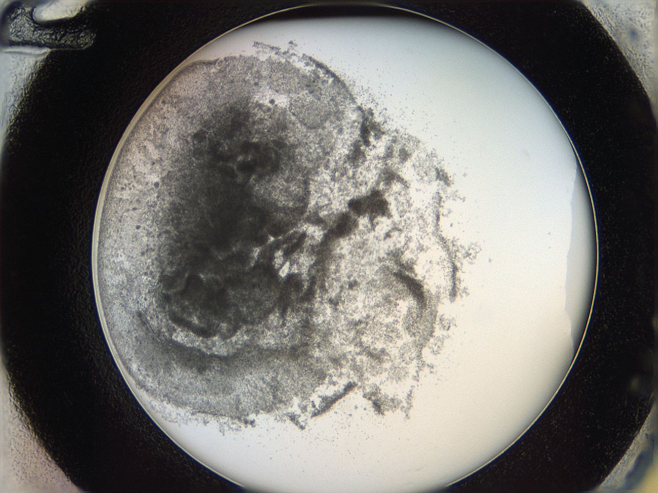 05y8_G12_ImagerDefaults_6.jpg