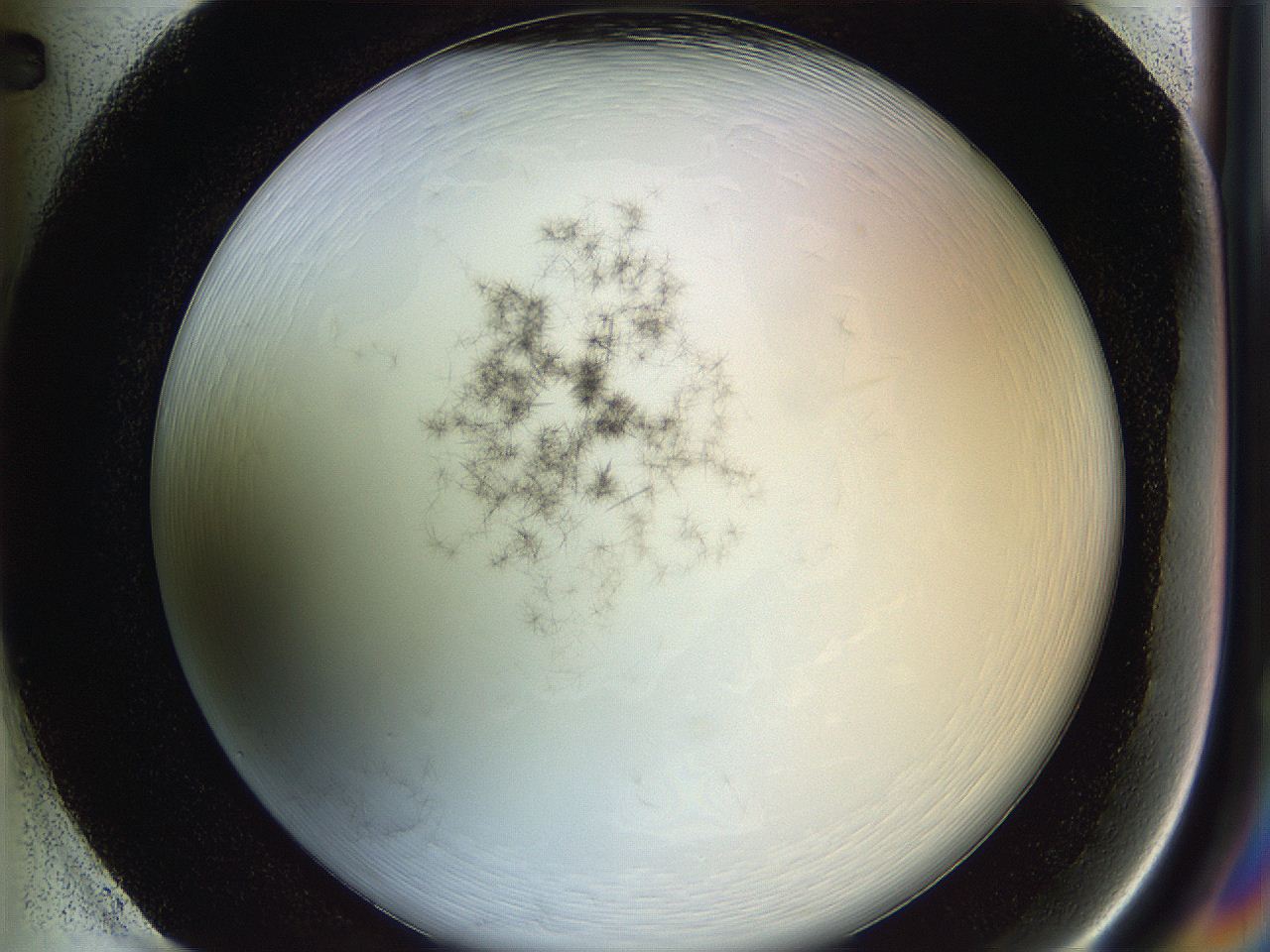 05y8_H2_ImagerDefaults_6.jpg