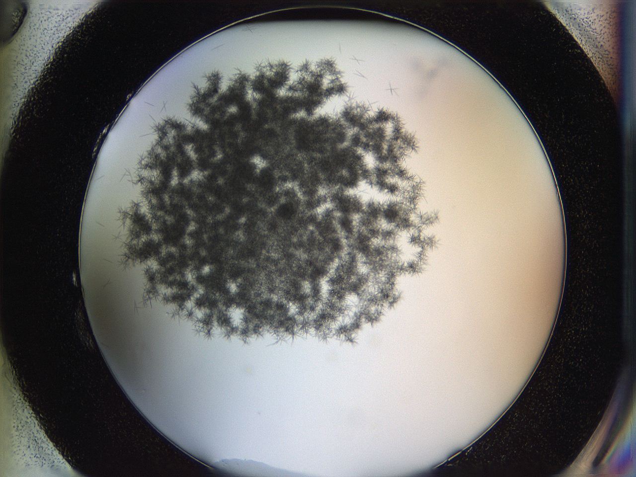 05y8_H3_ImagerDefaults_6.jpg