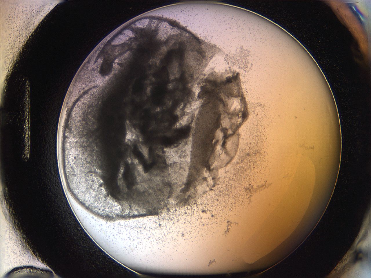 05y8_H12_ImagerDefaults_6.jpg