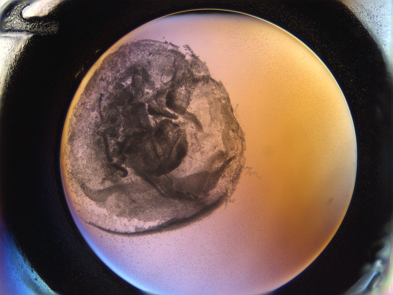 05y8_H12_ImagerDefaults_5.jpg