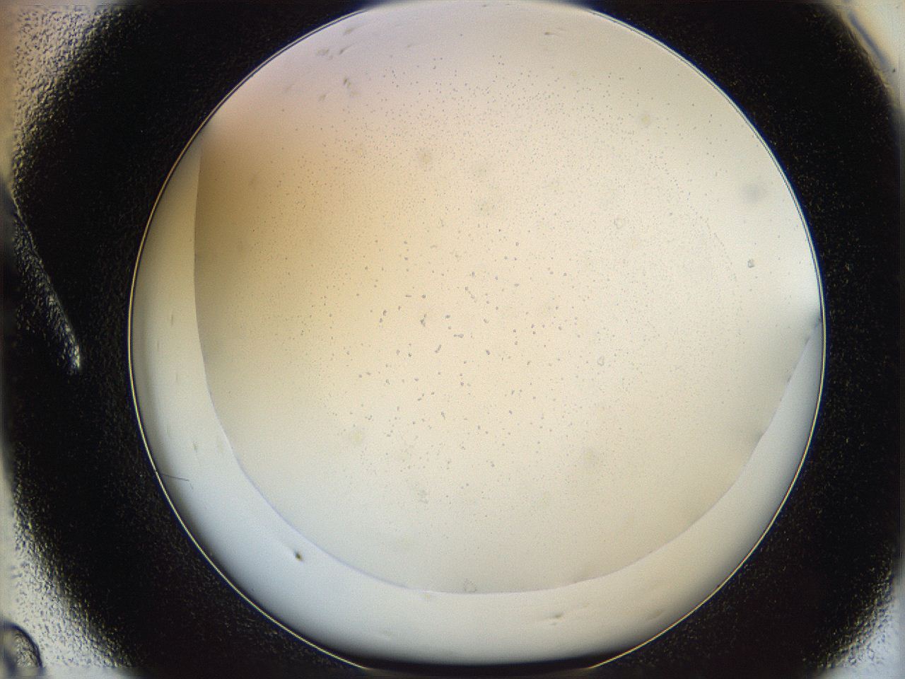 05y9_A8_ImagerDefaults_0.jpg