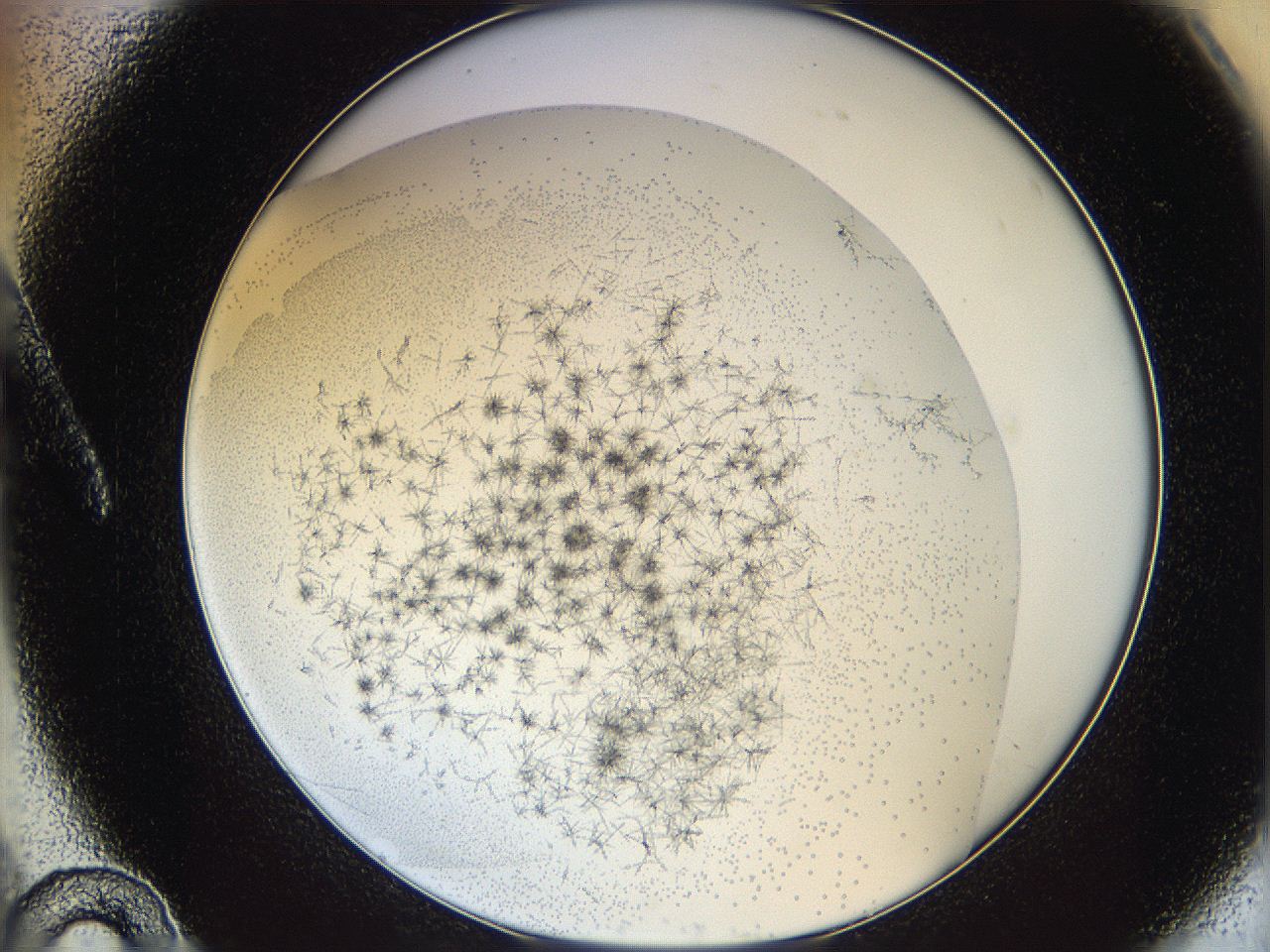 05y9_A10_ImagerDefaults_6.jpg