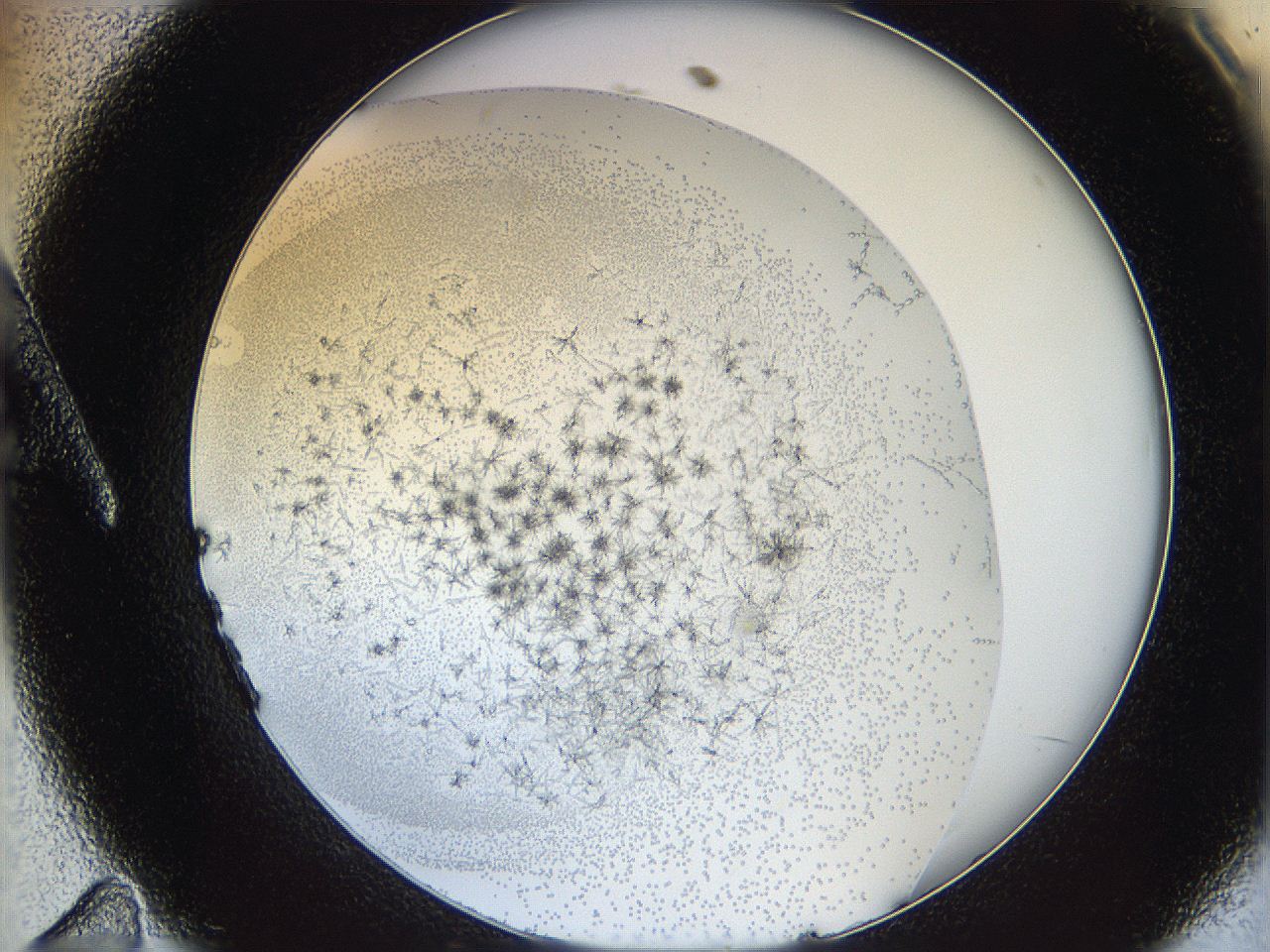 05y9_A11_ImagerDefaults_6.jpg