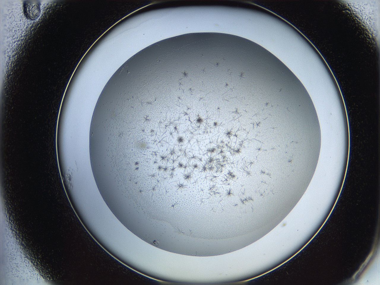 05y9_A11_ImagerDefaults_4.jpg