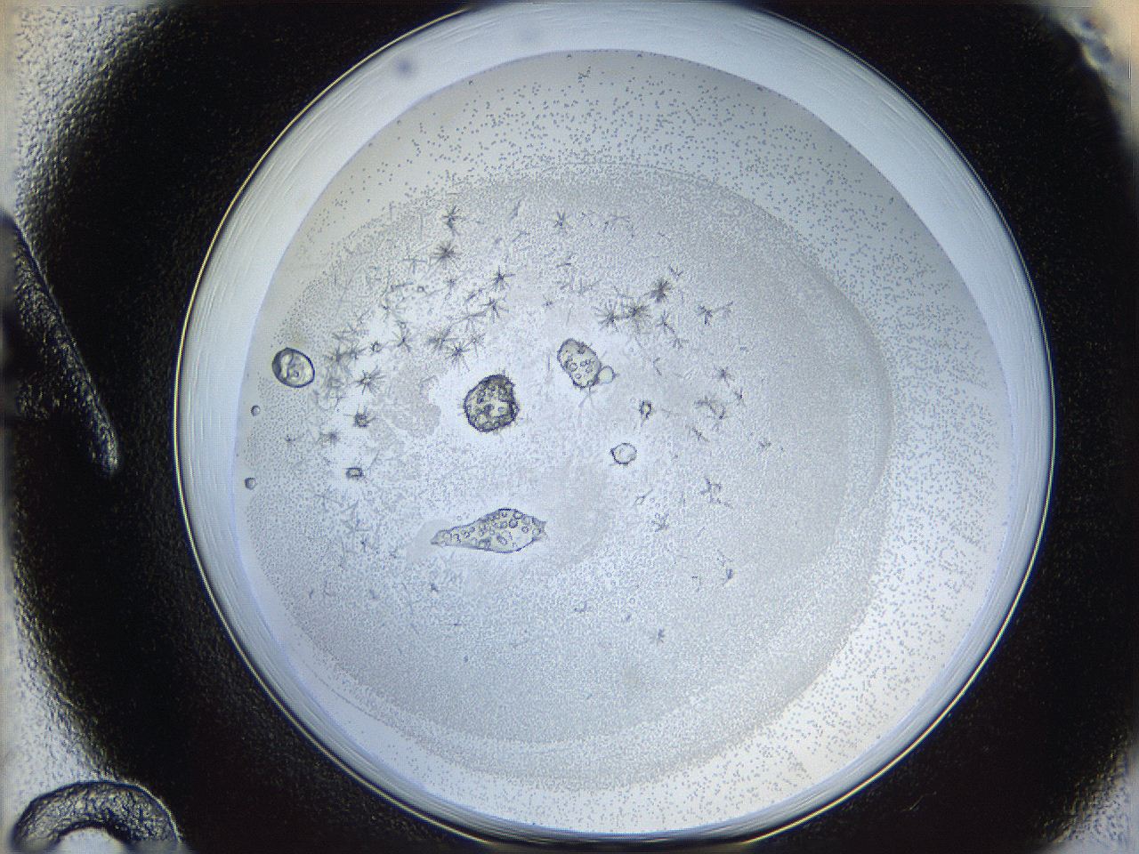 05y9_A12_ImagerDefaults_5.jpg