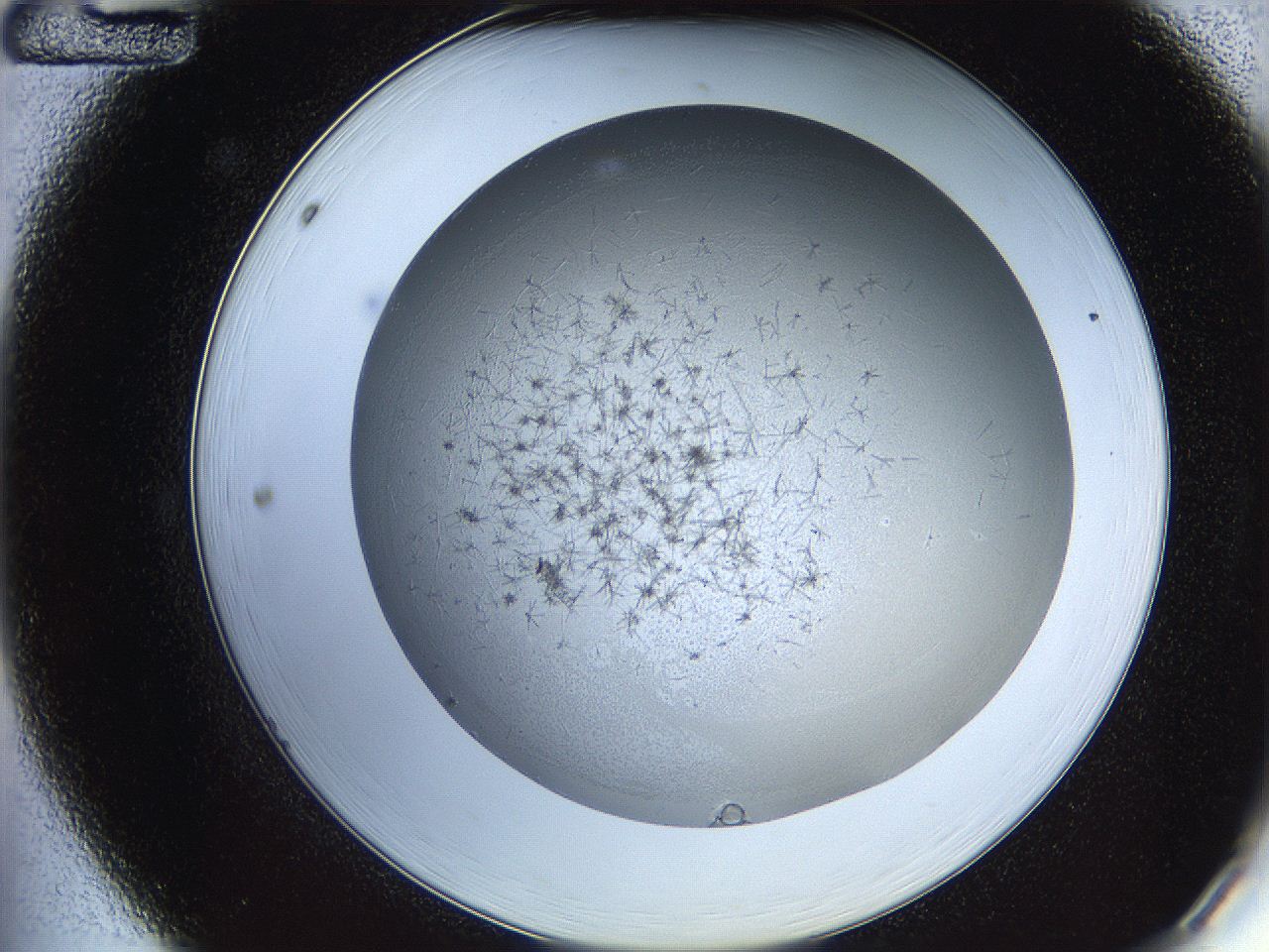 05y9_A12_ImagerDefaults_6.jpg