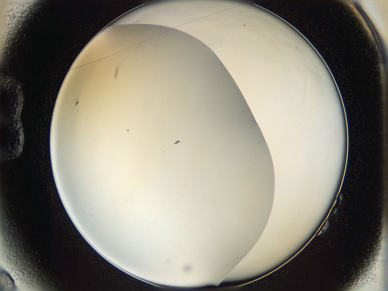05y9_B2_ImagerDefaults_0.jpg