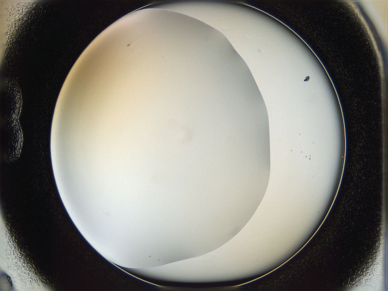 05y9_B3_ImagerDefaults_0.jpg