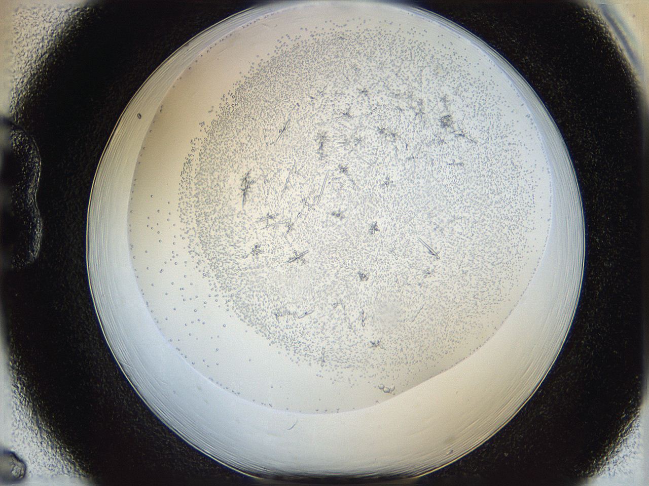 05y9_B6_ImagerDefaults_6.jpg