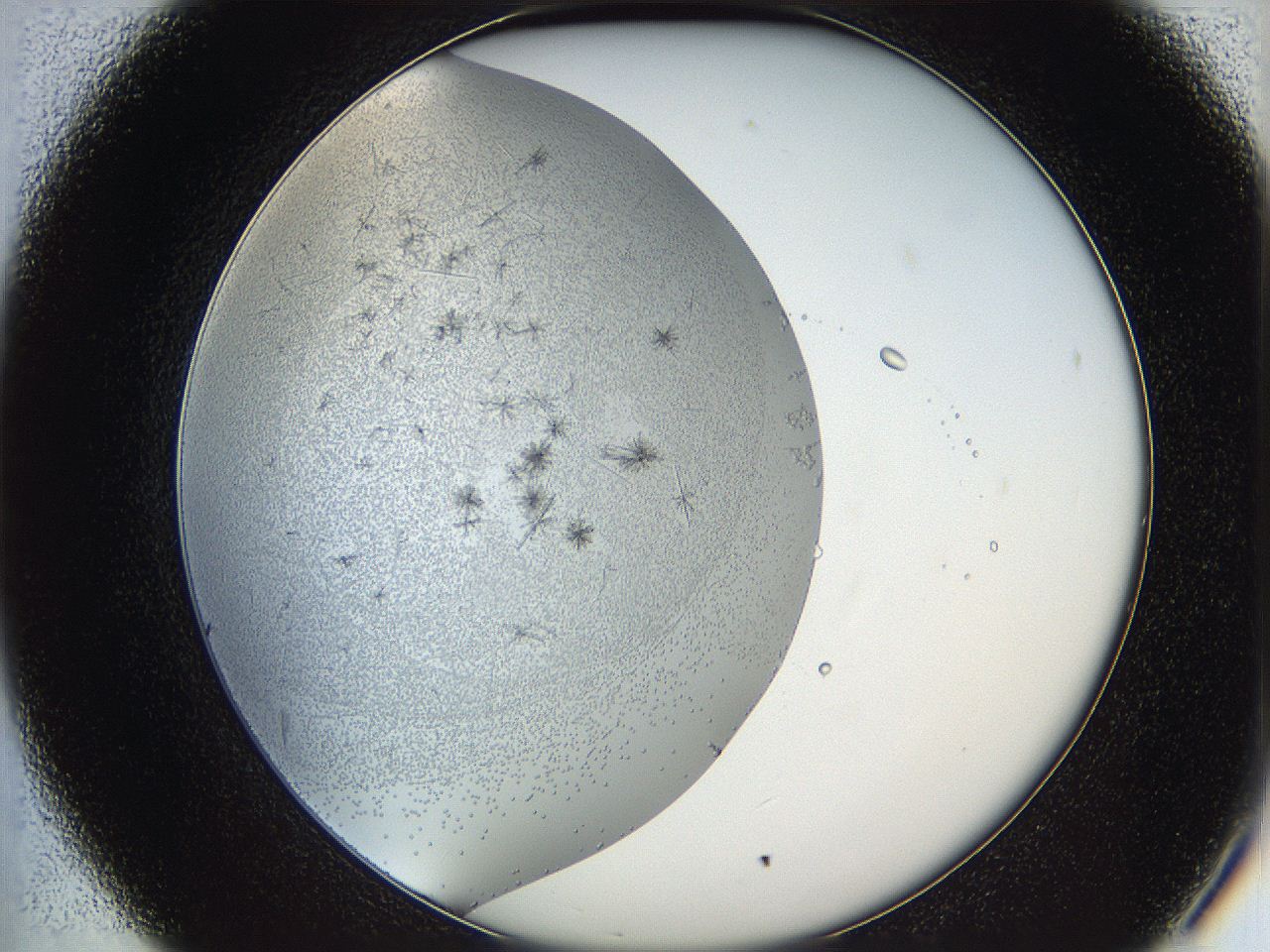 05y9_B7_ImagerDefaults_6.jpg