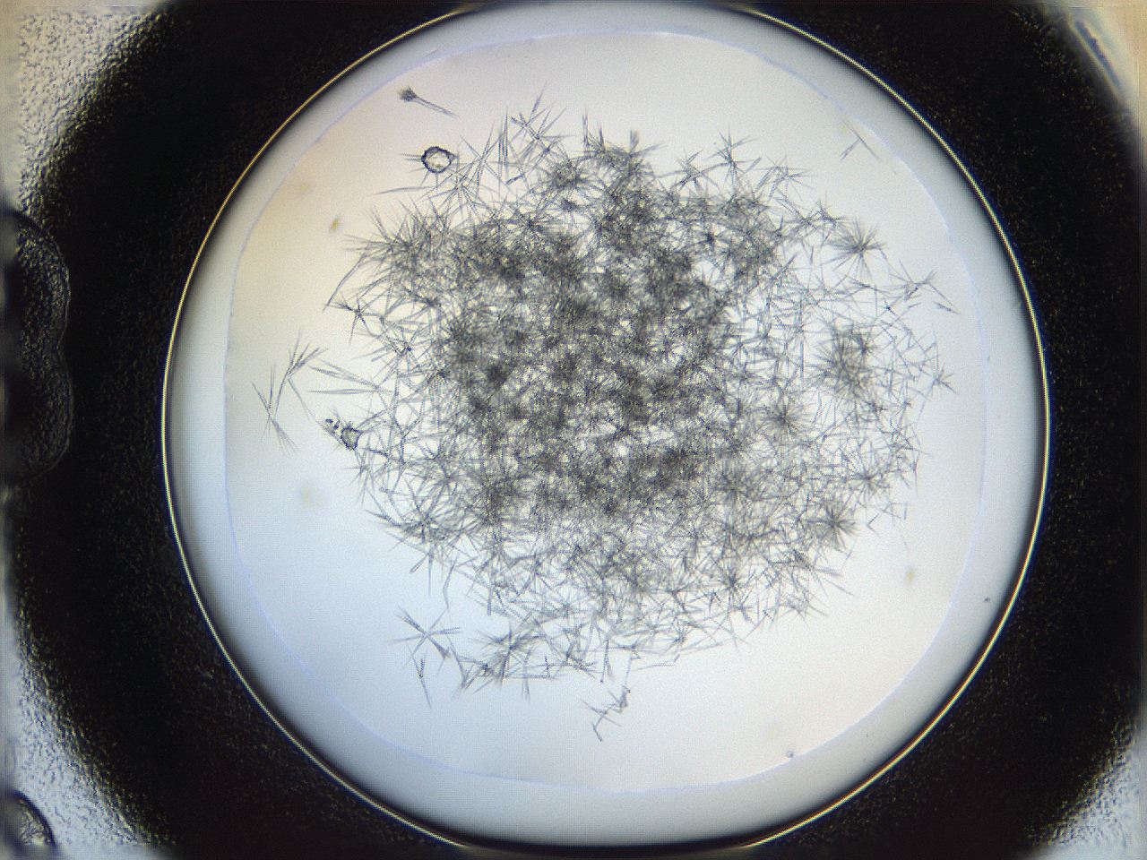 05y9_B9_ImagerDefaults_7.jpg