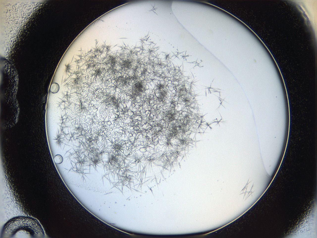 05y9_B10_ImagerDefaults_6.jpg