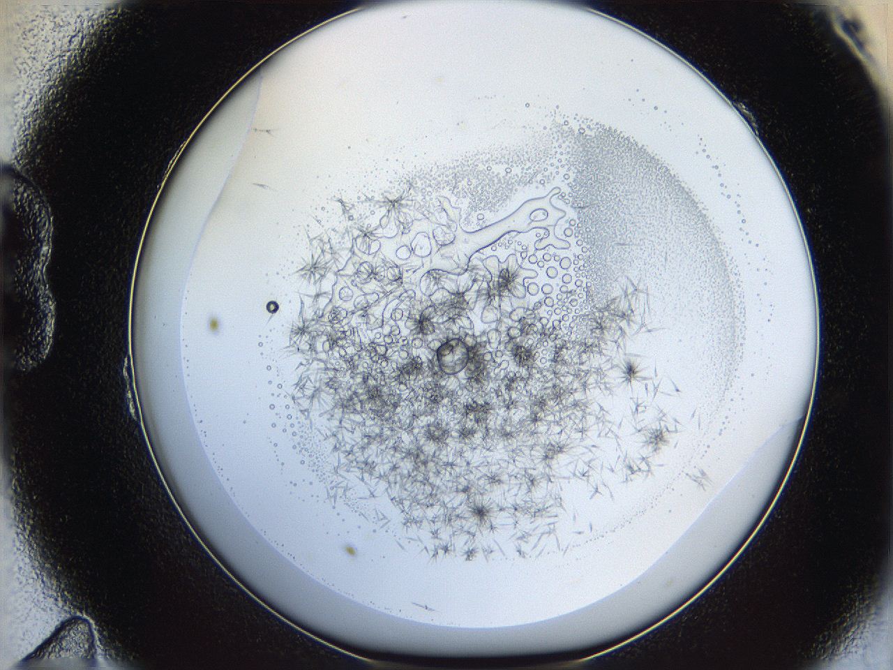 05y9_B11_ImagerDefaults_5.jpg