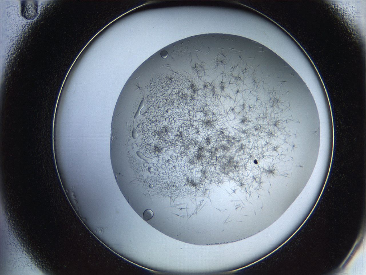 05y9_B11_ImagerDefaults_6.jpg