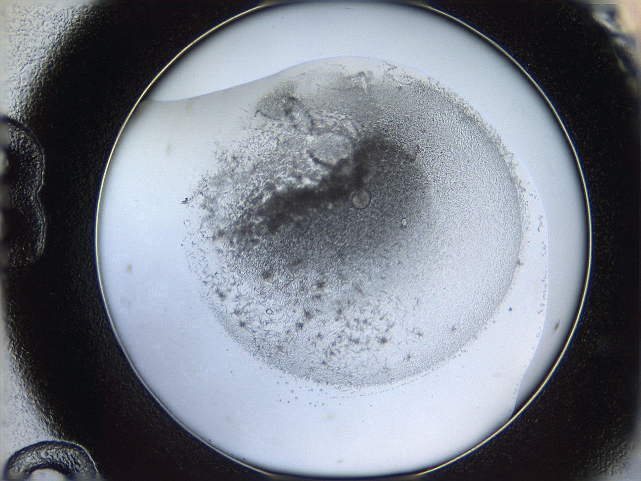 05y9_B12_ImagerDefaults_6.jpg