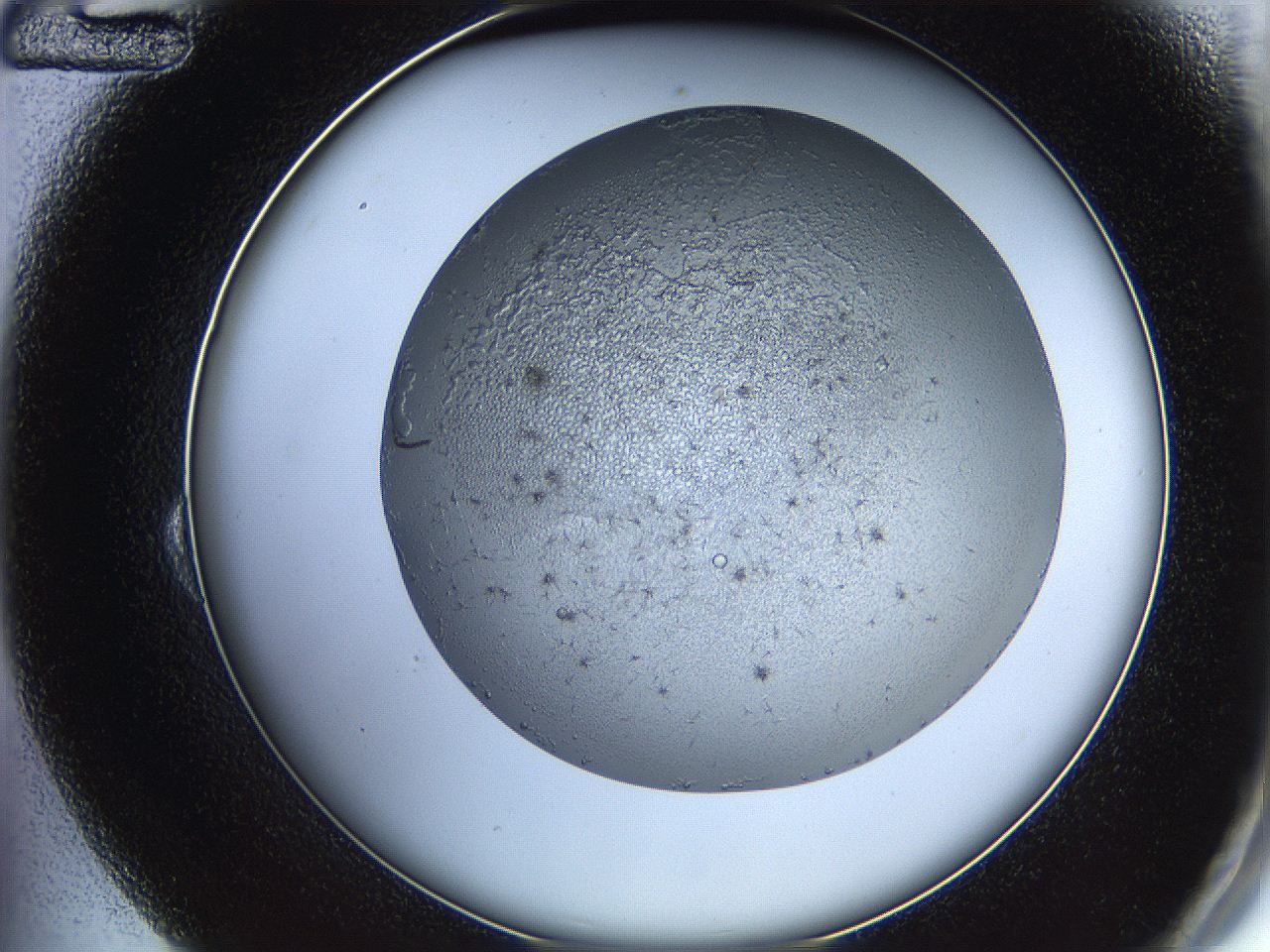 05y9_B12_ImagerDefaults_5.jpg