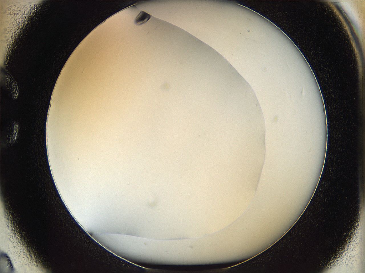 05y9_C2_ImagerDefaults_0.jpg