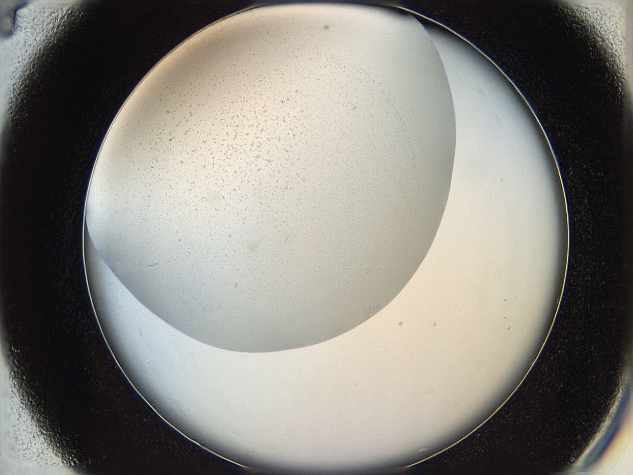 05y9_C4_ImagerDefaults_0.jpg