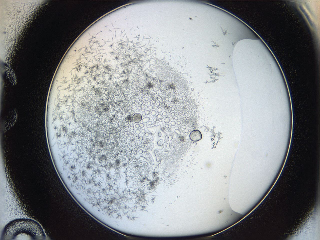 05y9_C10_ImagerDefaults_5.jpg