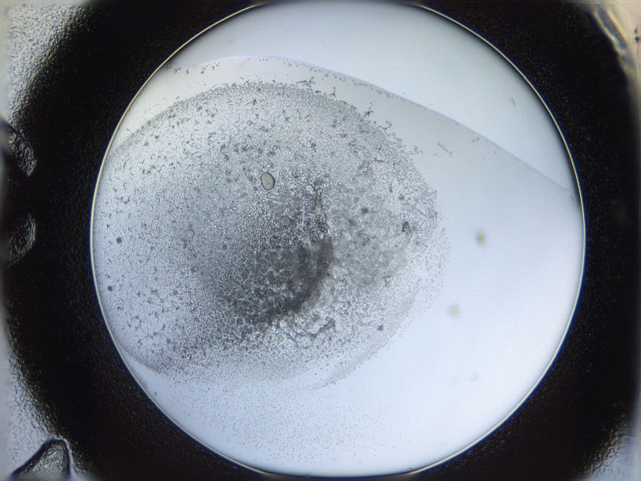 05y9_C11_ImagerDefaults_5.jpg
