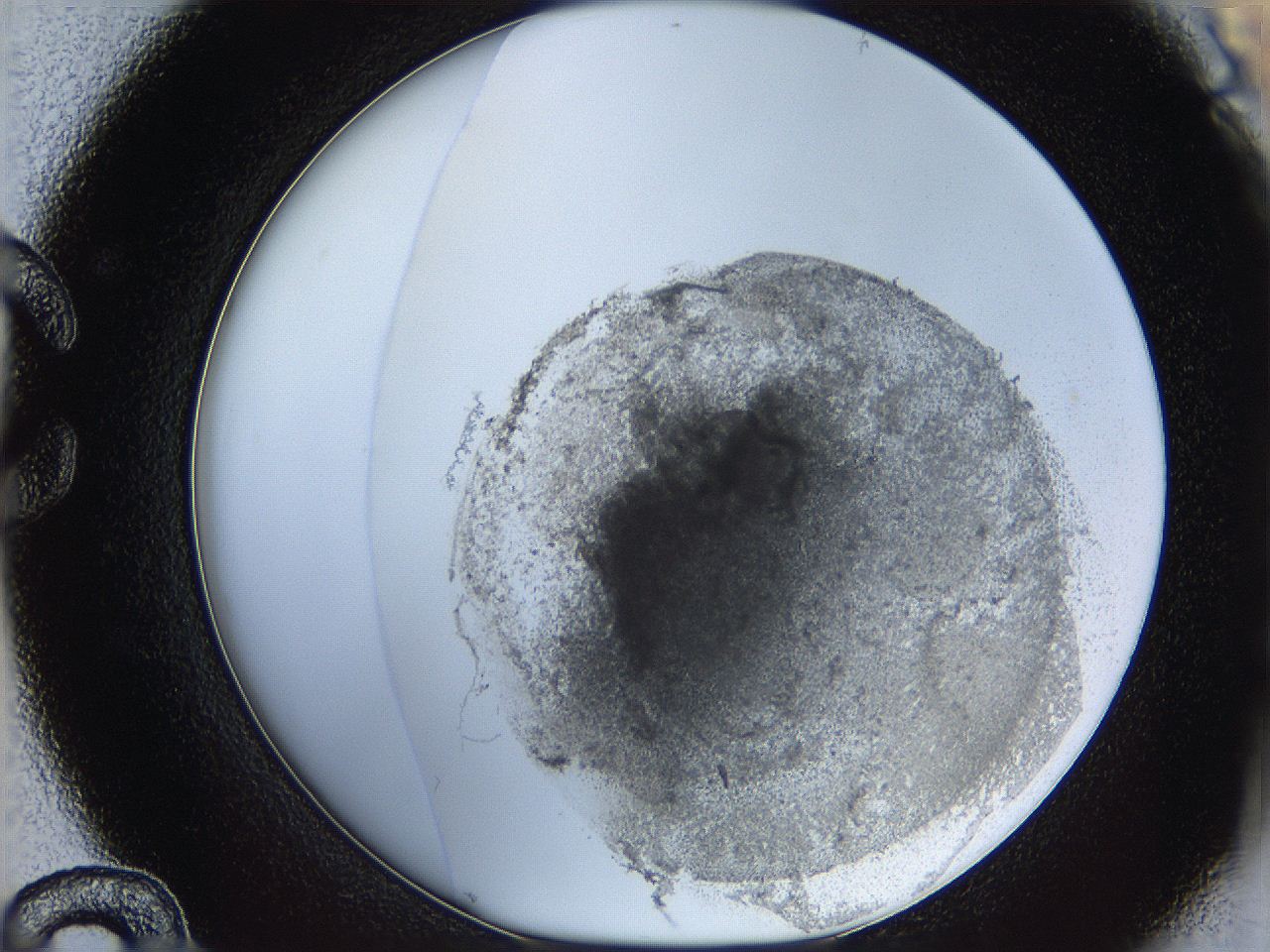 05y9_C12_ImagerDefaults_5.jpg