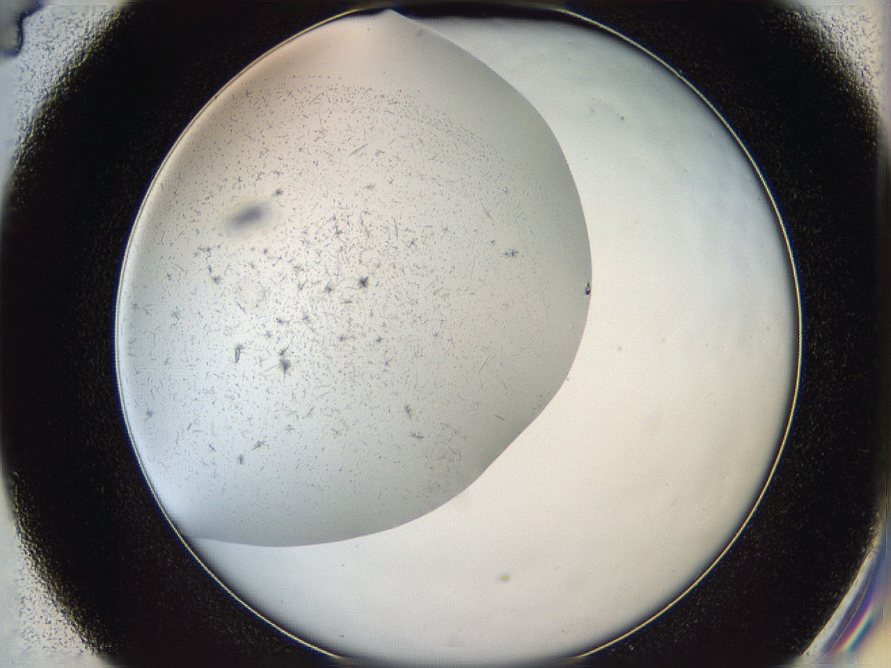 05y9_D4_ImagerDefaults_2.jpg