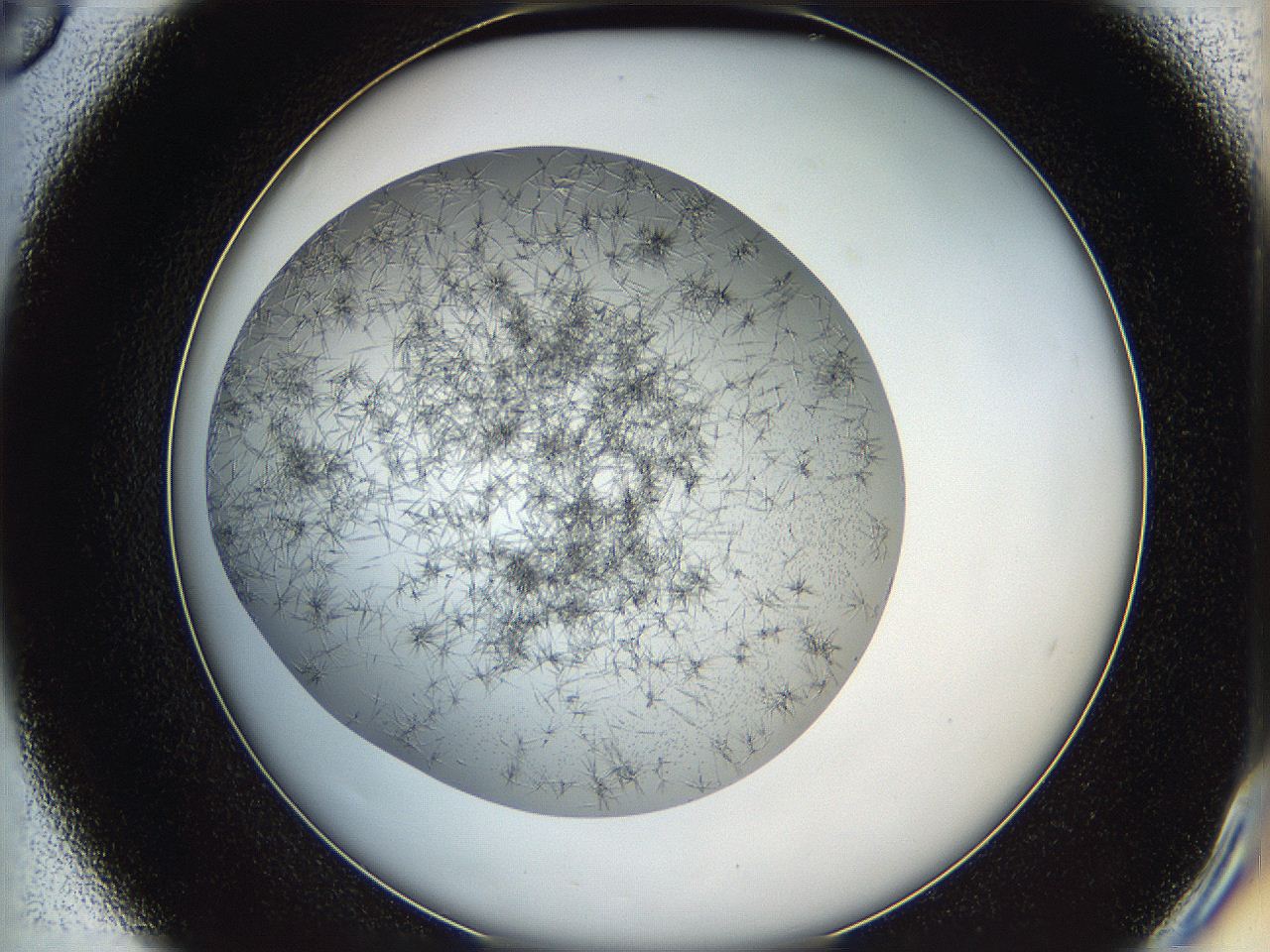05y9_D6_ImagerDefaults_6.jpg