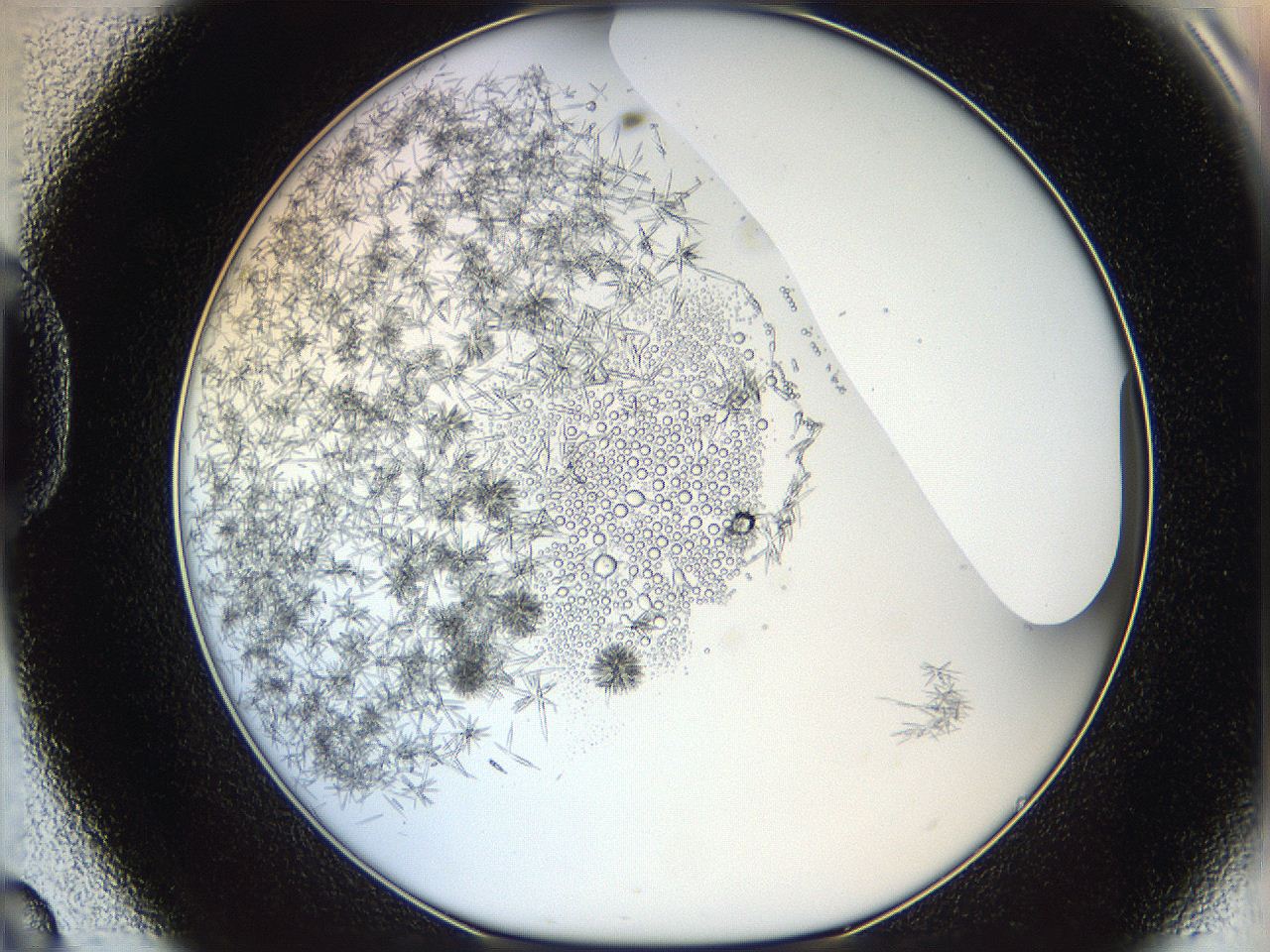 05y9_D8_ImagerDefaults_6.jpg