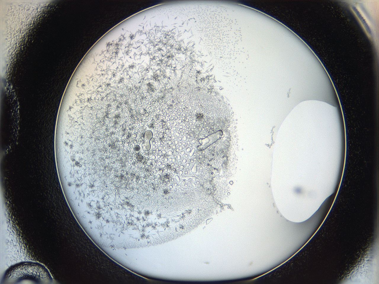05y9_D10_ImagerDefaults_5.jpg