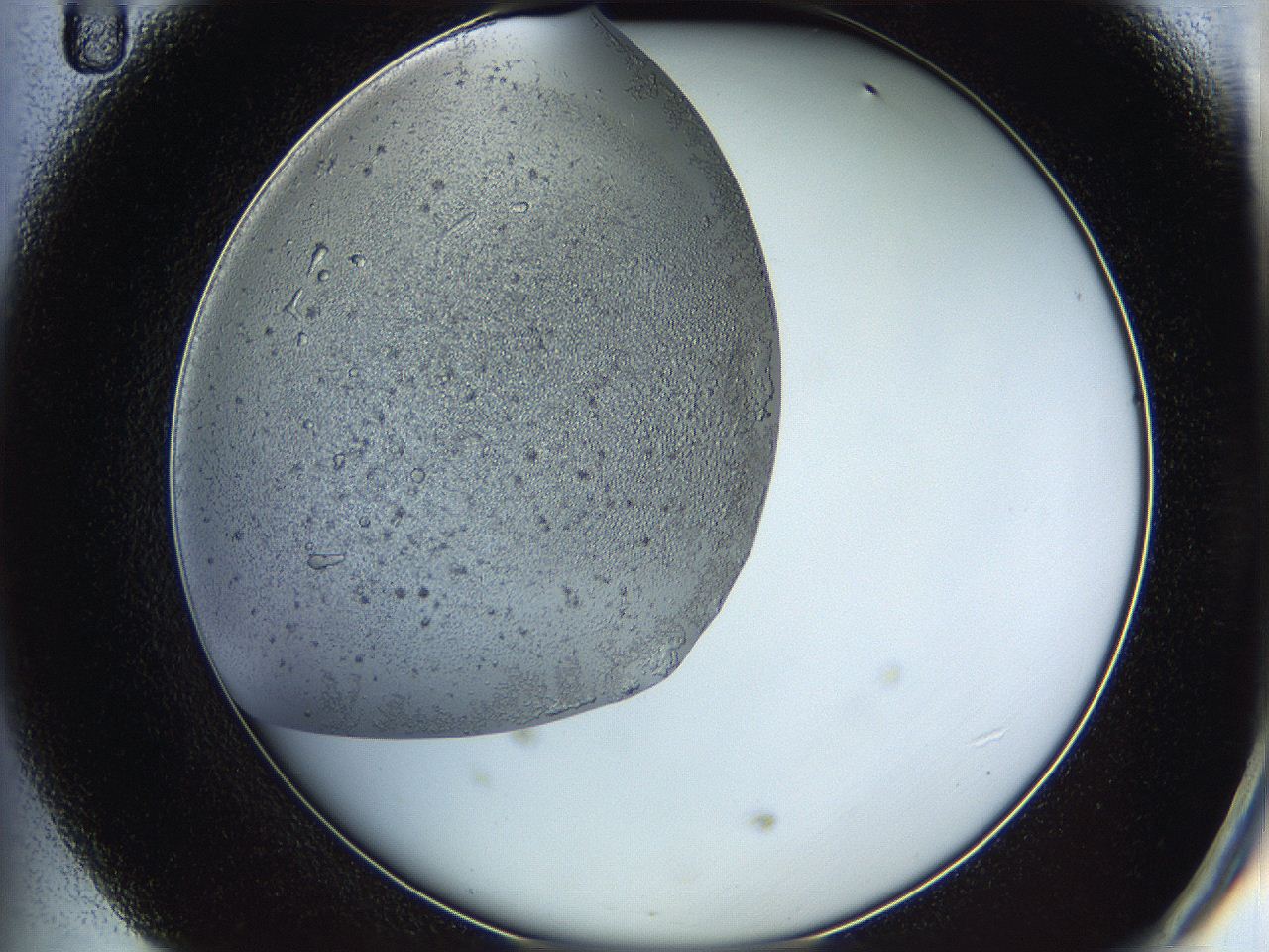 05y9_D11_ImagerDefaults_5.jpg