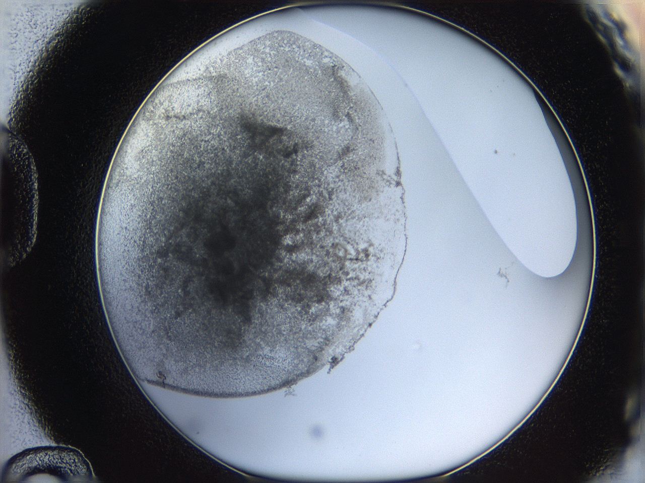 05y9_D12_ImagerDefaults_4.jpg