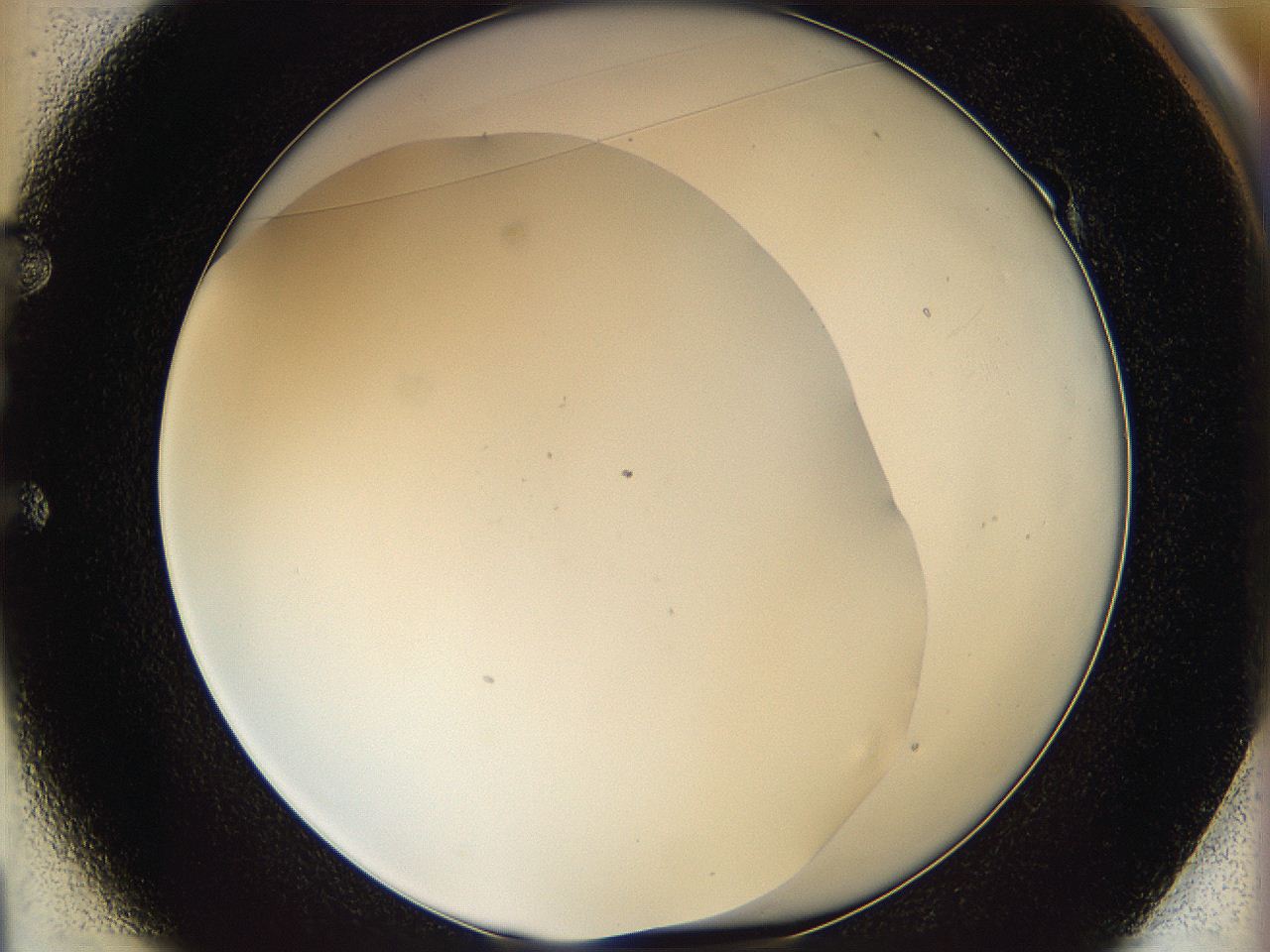 05y9_E1_ImagerDefaults_0.jpg