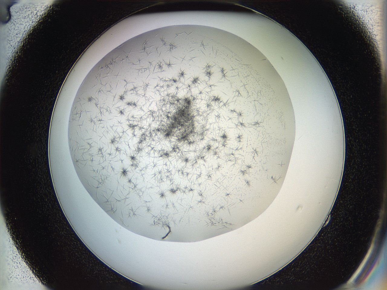 05y9_E4_ImagerDefaults_6.jpg