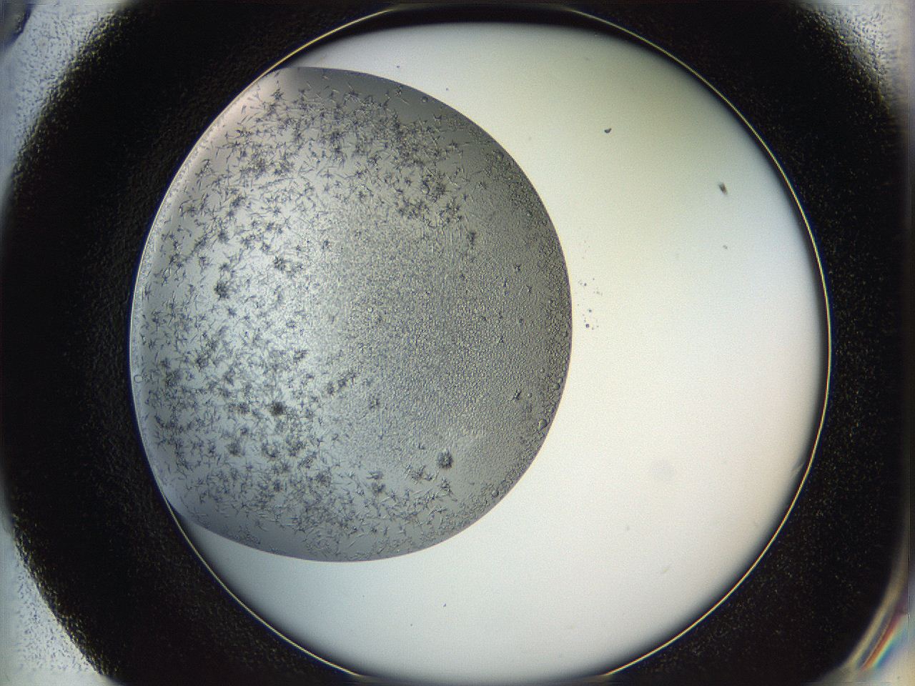 05y9_E9_ImagerDefaults_6.jpg