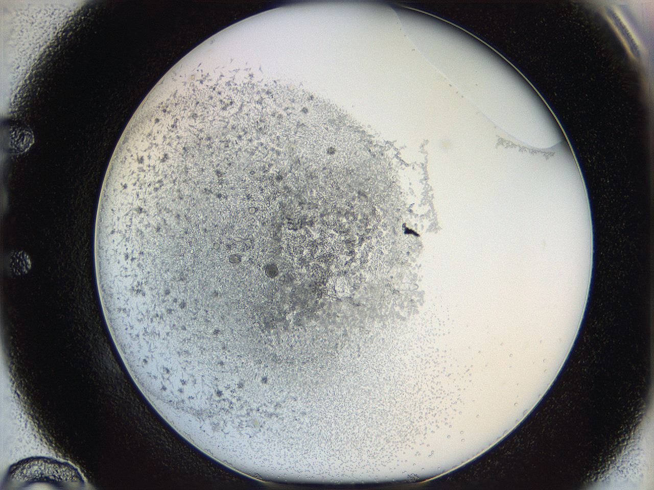 05y9_E10_ImagerDefaults_4.jpg