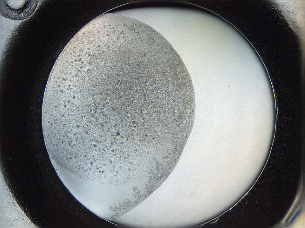 05y9_E10_ImagerDefaults_6.jpg