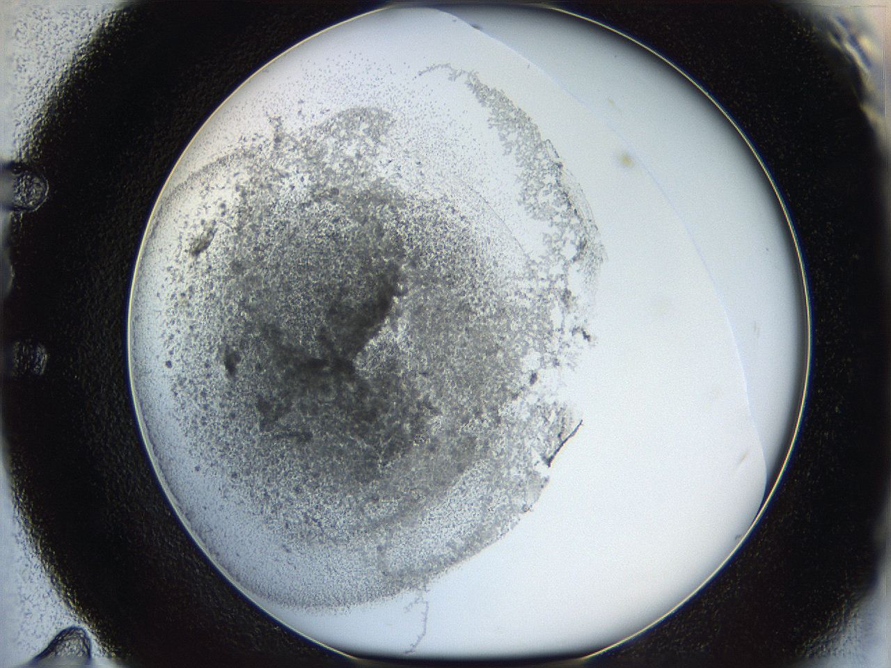 05y9_E11_ImagerDefaults_6.jpg